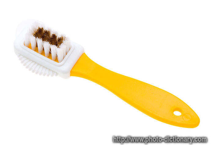 suede brush - photo/picture definition - suede brush word and phrase image