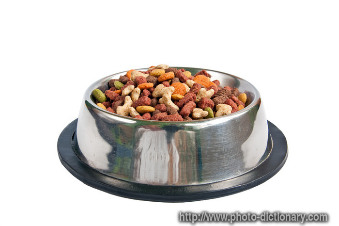 cat food - photo/picture definition - cat food word and phrase image