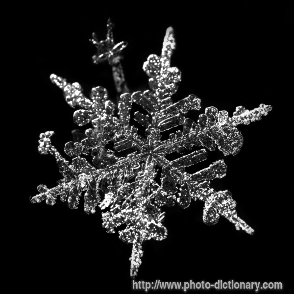 snowflake structure - photo/picture definition - snowflake structure word and phrase image