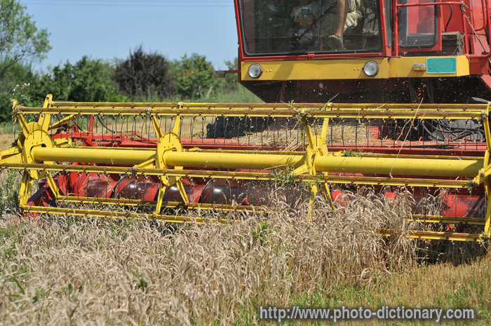 harvesting combine - photo/picture definition - harvesting combine word and phrase image