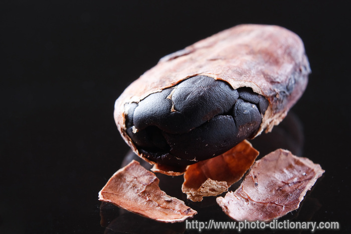 cocoa bean - photo/picture definition - cocoa bean word and phrase image
