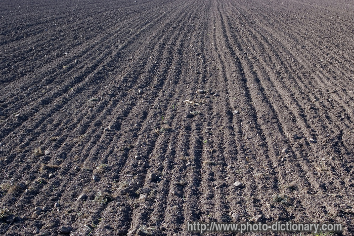 plowed field - photo/picture definition - plowed field word and phrase image