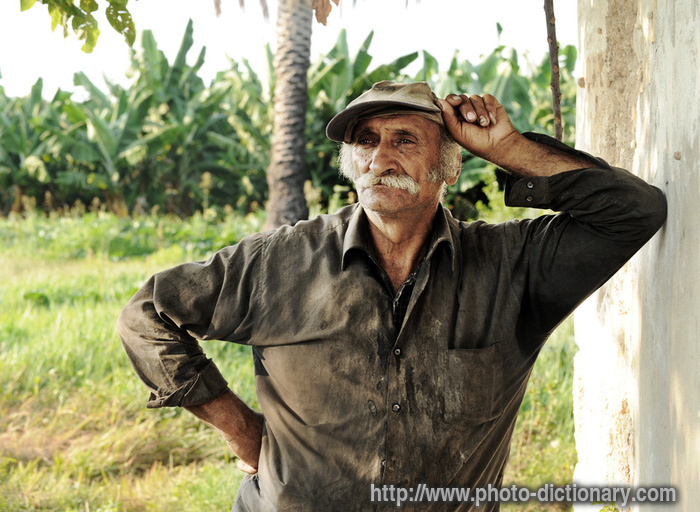 farmer - photo/picture definition - farmer word and phrase image