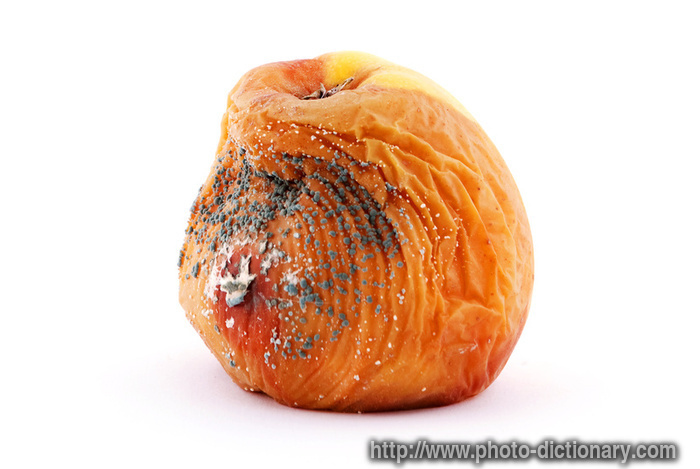rotten apple - photo/picture definition - rotten apple word and phrase image