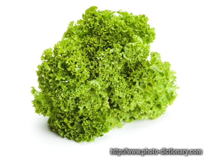 lollo bionda lettuce - photo/picture definition - lollo bionda lettuce word and phrase image