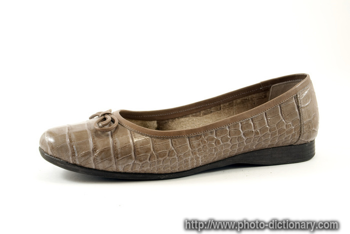 lady moccasin - photo/picture definition - lady moccasin word and phrase image
