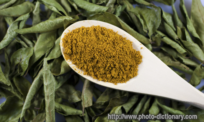 curry powder - photo/picture definition - curry powder word and phrase image