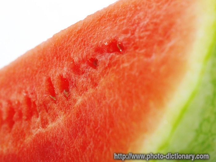 watermelon - photo/picture definition - watermelon word and phrase image