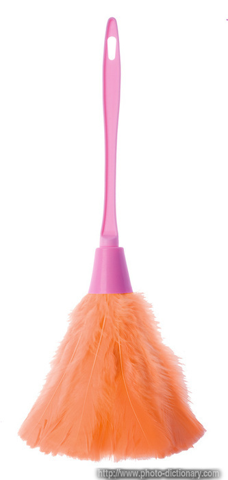 ostrich feather duster - photo/picture definition - ostrich feather duster word and phrase image