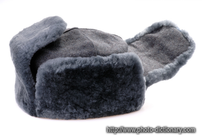 Russian fur hat - photo/picture definition - Russian fur hat word and phrase image