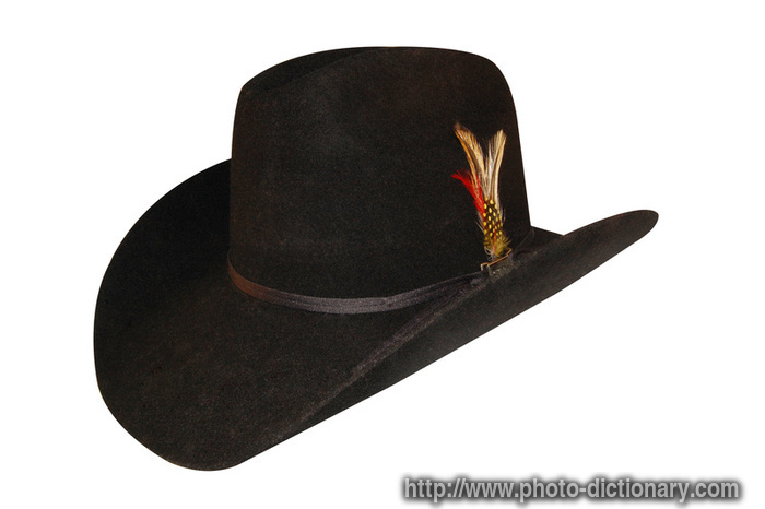cowgirl hat - photo/picture definition - cowgirl hat word and phrase image