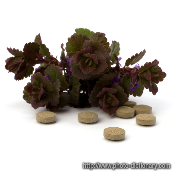 herbal medicine - photo/picture definition - herbal medicine word and phrase image