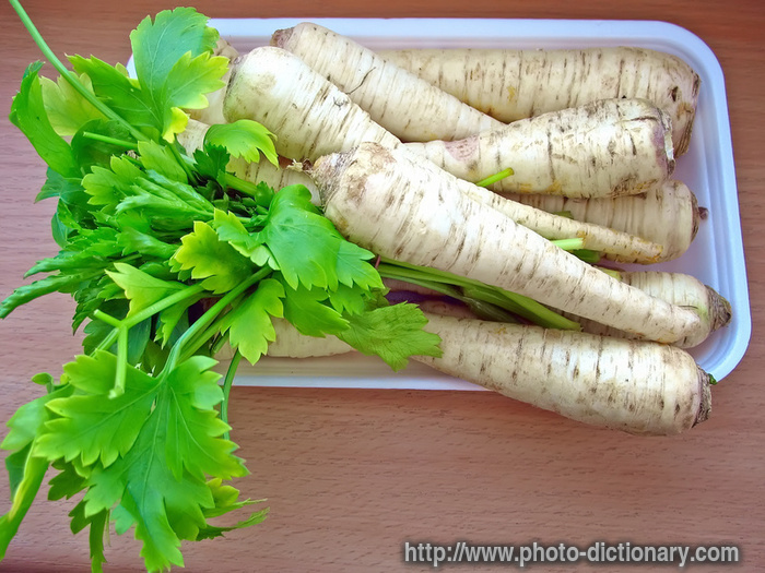 parsley - photo/picture definition - parsley word and phrase image