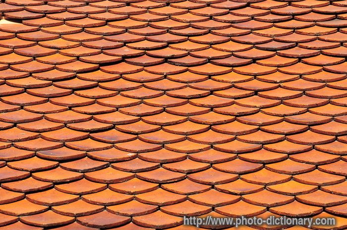 temple rooftop tiles - photo/picture definition - temple rooftop tiles word and phrase image