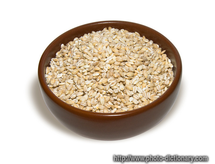 barley grain - photo/picture definition - barley grain word and phrase image