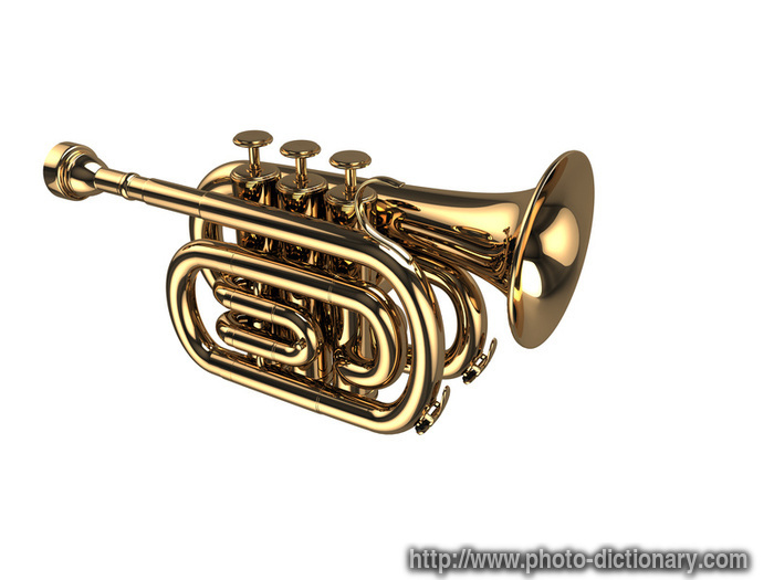 wind instrument - photo/picture definition - wind instrument word and phrase image