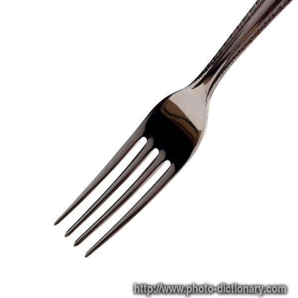 stainless fork - photo/picture definition - stainless fork word and phrase image