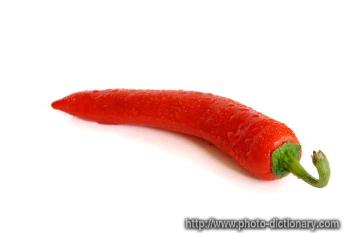 hot chilli - photo/picture definition Photo Dictionary red hot chilli pepper word and phrase defined by its image in jpg/jpeg in English