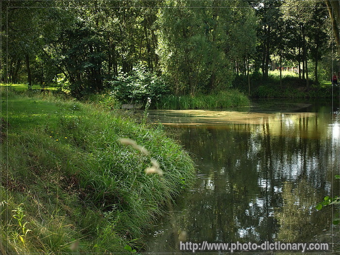 pond - photo/picture definition - pond word and phrase image