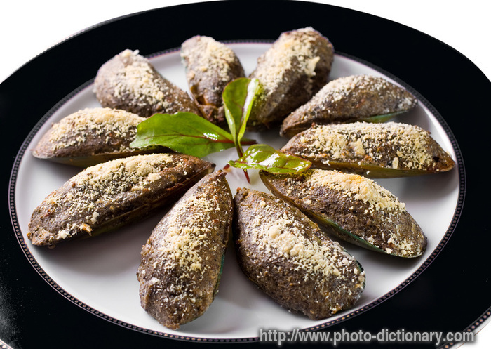 mussel - photo/picture definition - mussel word and phrase image