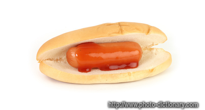 hotdog - photo/picture definition - hotdog word and phrase image
