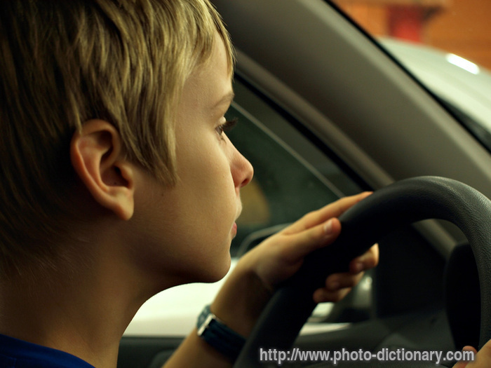 driver - photo/picture definition - driver word and phrase image