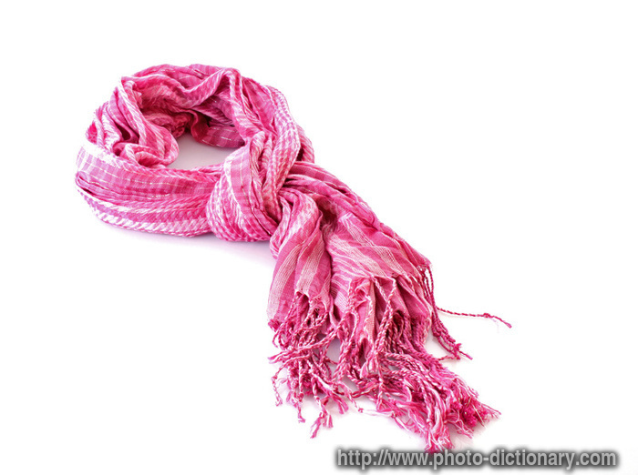 scarf - photo/picture definition - scarf word and phrase image