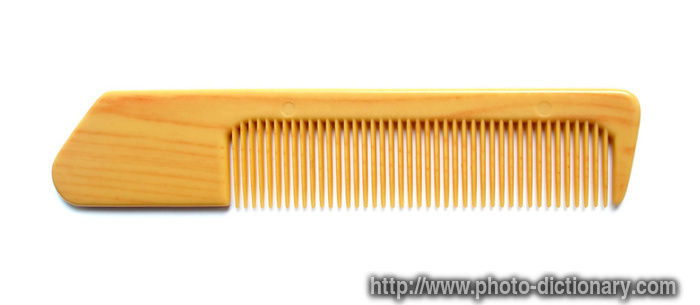 comb - photo/picture definition - comb word and phrase image