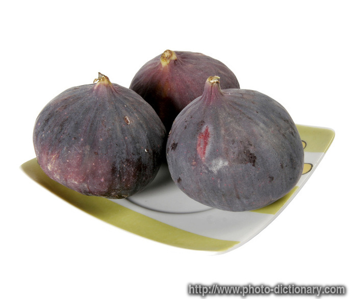 fig - photo/picture definition - fig word and phrase image