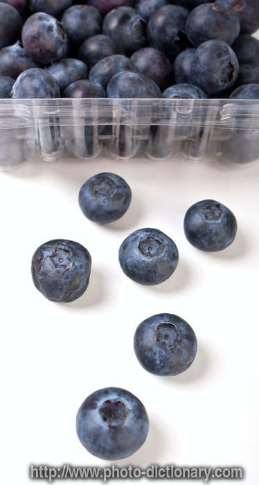 bilberries - photo/picture definition - bilberries word and phrase image