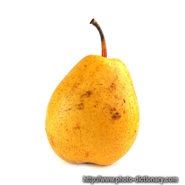 pear - photo/picture definition - pear word and phrase image