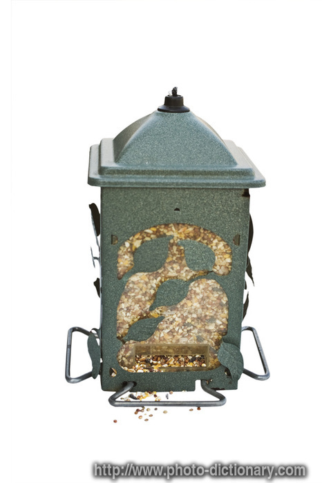 bird feeder - photo/picture definition - bird feeder word and phrase image