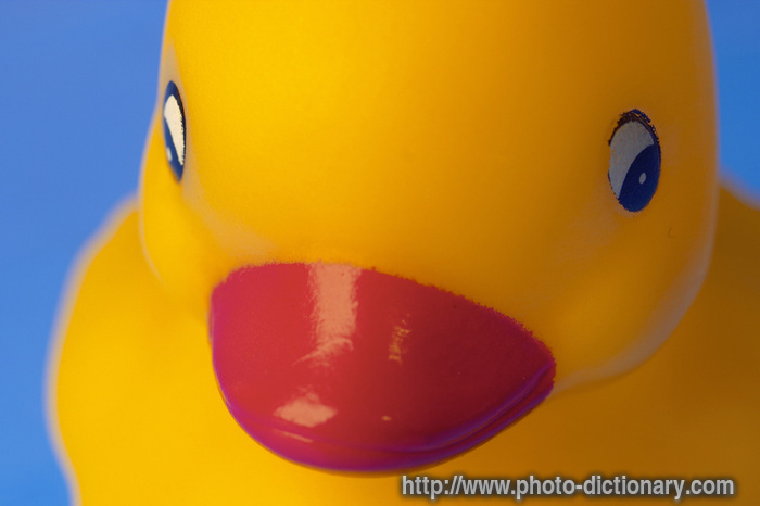 rubberduck - photo/picture definition - rubberduck word and phrase image
