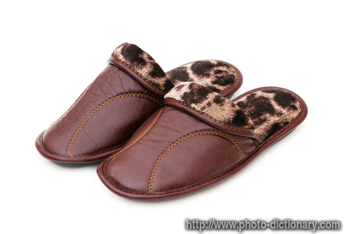 slippers - photo/picture definition - slippers word and phrase image