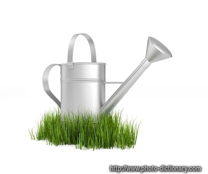watering can - photo/picture definition - watering can word and phrase image