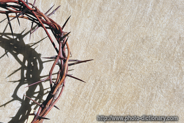 crown of thorns - photo/picture definition - crown of thorns word and phrase image