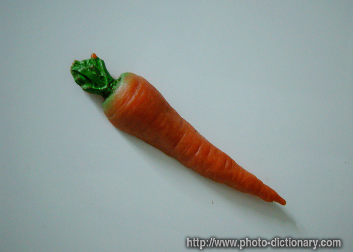 carrot - photo/picture definition - carrot word and phrase image