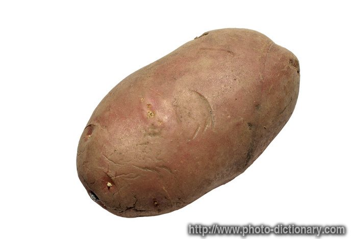 potato - photo/picture definition - potato word and phrase image