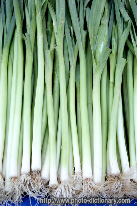 leek - photo/picture definition - leek word and phrase image