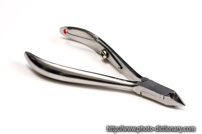cutting pliers - photo/picture definition - cutting pliers word and phrase image
