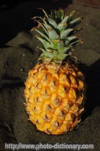 Pineapple - photo/picture definition - Pineapple word and phrase image