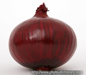 Red onion - photo/picture definition - Red onion word and phrase image