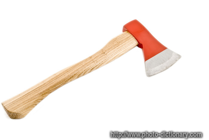 hatchet - photo/picture definition - hatchet word and phrase image
