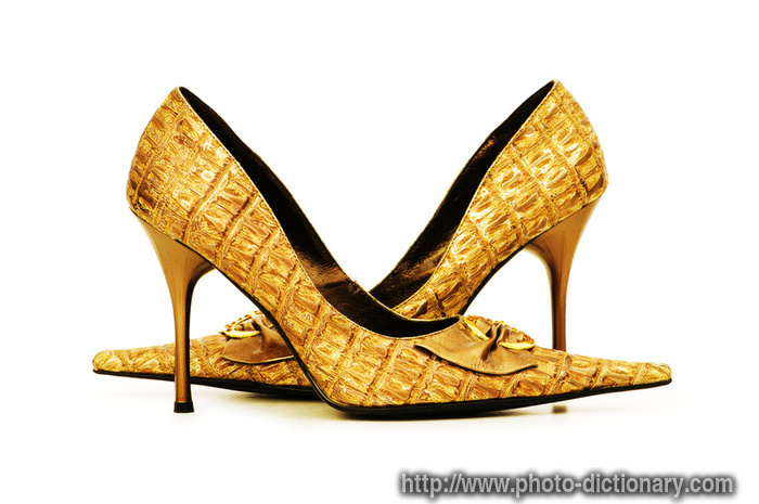 woman shoes - photo/picture definition - woman shoes word and phrase image
