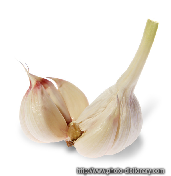 garlic - photo/picture definition - garlic word and phrase image