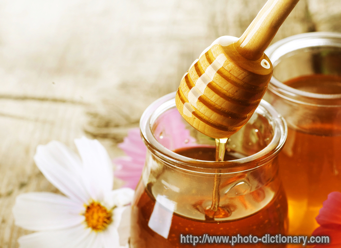 honey - photo/picture definition - honey word and phrase image