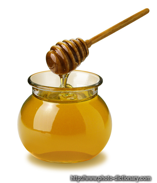 honey - photo/picture definition - honey word and phrase image