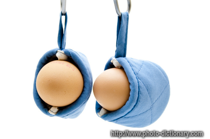 egg warmers - photo/picture definition - egg warmers word and phrase image