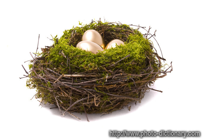 golden eggs - photo/picture definition - golden eggs word and phrase image