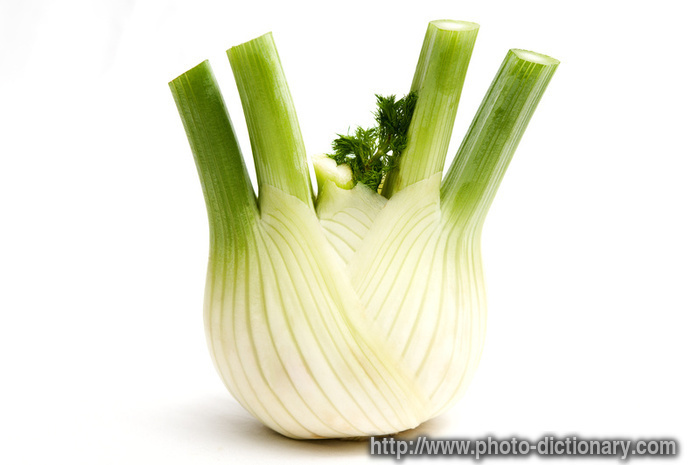 fennel - photo/picture definition - fennel word and phrase image